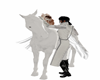 CAVALLO DEI O'DONOGHUE