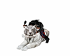 white tiger pampering