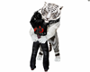white tiger hug